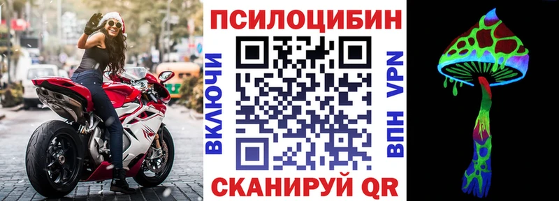 Псилоцибиновые грибы Psilocybe Сычёвка